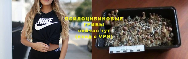 Альфа ПВП Верхний Тагил